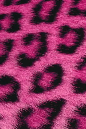 ปกนิยาย Fur.