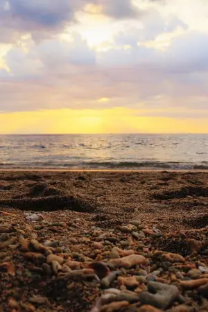 ปกนิยาย That's my heart  หัวใจดวงนั้นเป็นของผมนะครับ