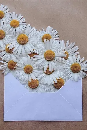 ปกนิยาย (produce101) so long │  linho