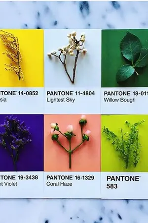 ปกนิยาย (os & sf) – produce101│shades of us °