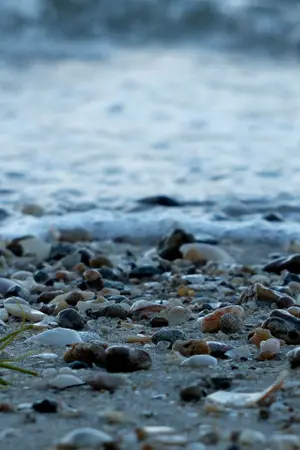 ปกนิยาย Fiction BTS ' jinkook {แฟนข้ามคืน}