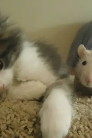 ปกนิยาย Gotta be somebody