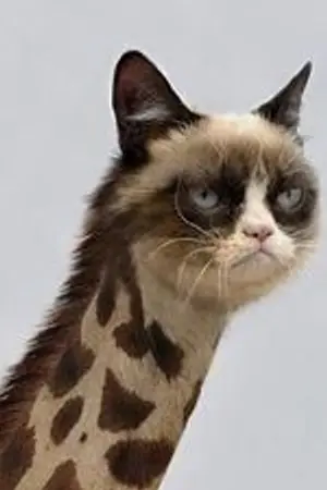 ปกนิยาย เรื่องเศร้าเจ้านกน้อย