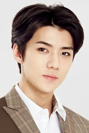 ปกนิยาย A Lot of Love ( EXO-SNSD )