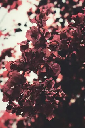 ปกนิยาย | SF/OS | Dan to the Hoon