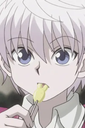 ปกนิยาย [Fic hunter x hunter]รักเจ้าเลห์'ของยัยสุดซื่อ