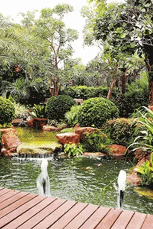 ปกนิยาย Pioneer (พิโอเนีย)