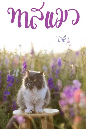 ปกนิยาย ทาสแมว - อีบุ๊ก