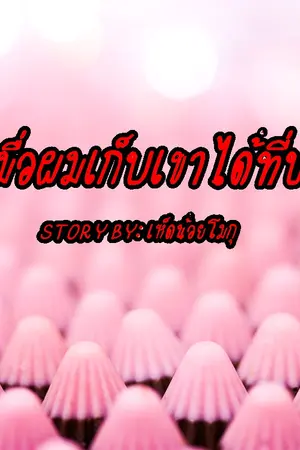 ปกนิยาย