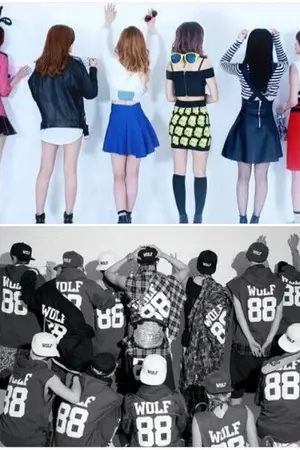 ปกนิยาย [EXOPINK] A Wolf คว้าหัวใจนายหมาป่า