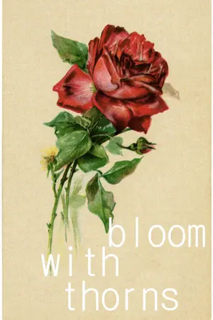 ปกนิยาย Rose story