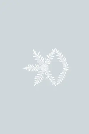 ปกนิยาย Merry Last Christmas ❅ | TAOHO (END)
