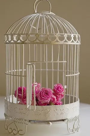 ปกนิยาย [EXO] BEIGE เบจ kaisoo,chansoo ft.exo