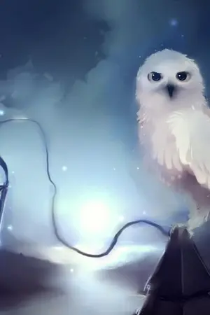 ปกนิยาย || Fic Harry Potter || Am I a Wizard ?  [ BL/Yaoi ]