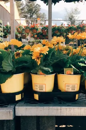 ปกนิยาย #ฟิคชั่ววูบ