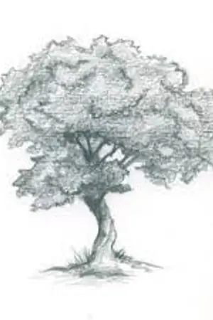 ปกนิยาย Were all มหัศจรรย์ แห่งความเหมือน แม้แตกต่าง