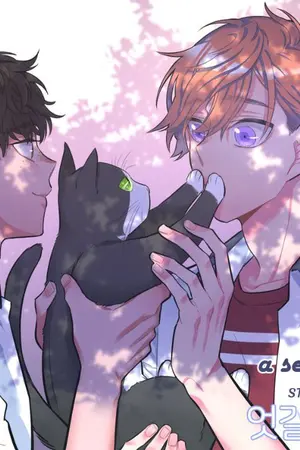 ปกนิยาย A Sea of Conflicts-TH แปล