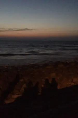 ปกนิยาย ​How was your last summer | Taegi