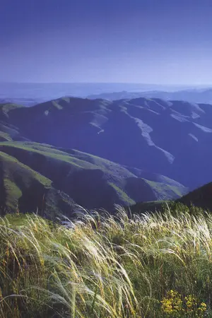 ปกนิยาย ปริศนา กาลเวลา จิ้งจอกขาว (จบแล้ว ปิดรอรีไรท์ค่ะ)