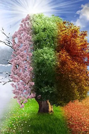 ปกนิยาย Fic Harvest Moon:: Knight of Season