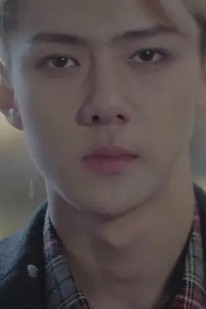 ปกนิยาย Fic[EXO] Miracles on Christmas ปาฏิหาริย์ที่รอคอย