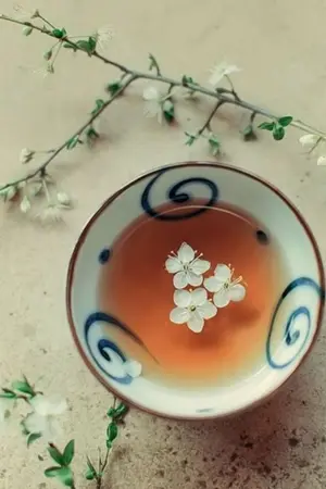 ปกนิยาย ฮูหยินเจ้าคะ วางจอกชาลงก่อนเถิด