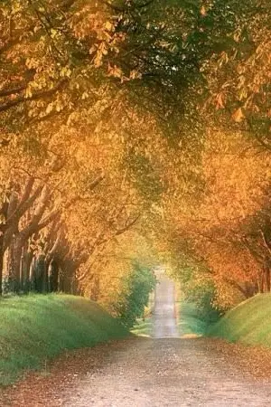 ปกนิยาย Baby..LOVE me please!!