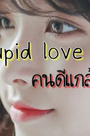 ปกนิยาย Stupid love คนดีแกล้งโง่ ( รีไรท์)