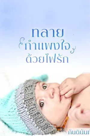 ปกนิยาย ทลายกำแพงใจด้วยไฟรัก