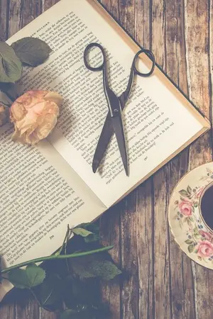 ปกนิยาย ริจะรัก...ต้องกล้าที่จะโล้น