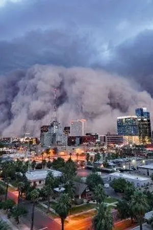 ปกนิยาย Y Survival : วิกฤตรัก