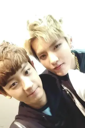 ปกนิยาย ΔYour roommateΔ รูมเมทพี่ต้องผมเท่านั้น ! (Krisyeol Kaihun)