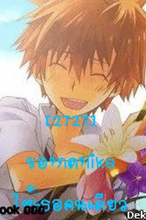 ปกนิยาย [Fic AU Reborn] Sky สิ่งที่ต้องทวงคืน [All27]