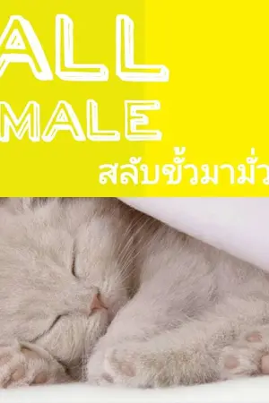 ปกนิยาย All male สลับขั้วมามั่วรัก