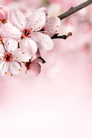 ปกนิยาย Refresh : รักดีไหมนายตัวร้ายของฉัน(จบแล้วจ้า) ปิดตอน