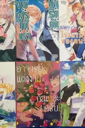 ปกนิยาย ขายการ์ตูน Y มือสองราคาถูก