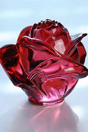 ปกนิยาย love curse คำสาปรักเจ้าแห่งศาสตร์มืด