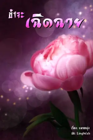 ปกนิยาย ข้าจะเฉิดฉาย! [ด้นสด]​