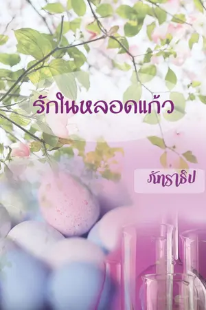 ปกนิยาย