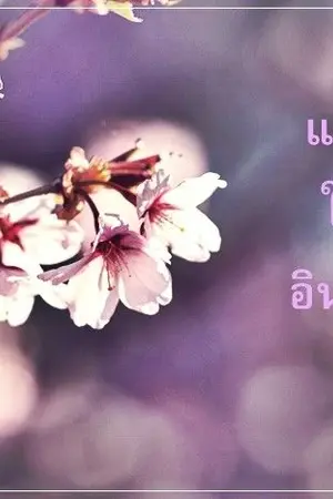 ปกนิยาย แก้วใจอินทร์ (อ่านฟรีจนกว่าจะลงจบ)