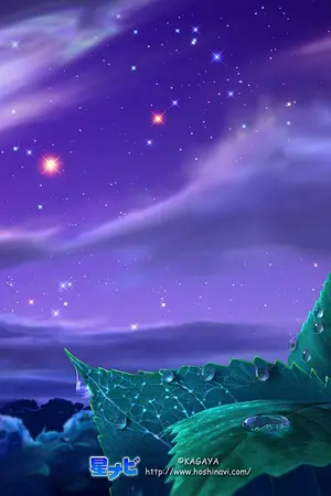 ปกนิยาย เคียงใจจ้าวบัลลังก์ (ดอง)