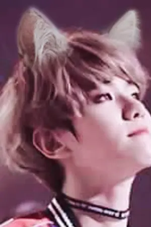 ปกนิยาย ( fic exo ) หูแมวชานแบค #CHANBAEK (ดอง)