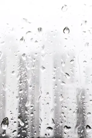 ปกนิยาย [WINNER]  RAIN