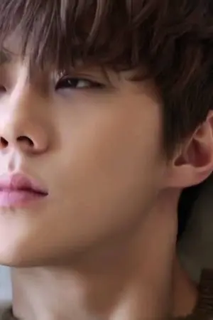 ปกนิยาย For life [HunHan]