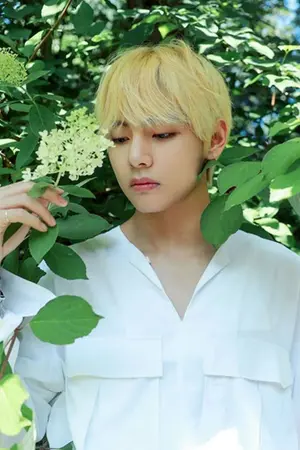 ปกนิยาย {OS,SF} DIARY OF TAEHYUNG ALLV