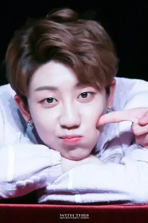 ปกนิยาย [SEVENTEEN] สตอรี่ ออฟ หมิงฮ่าว ._. | all minghao.