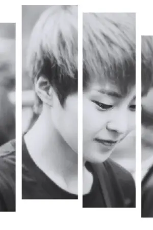 ปกนิยาย {Dark Horse} ผมควรเชื่อเค้าไหม...