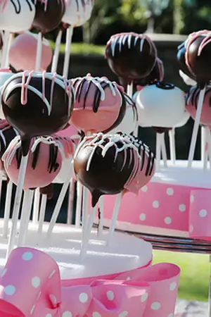 ปกนิยาย St. Lou Lin ....