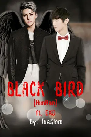 ปกนิยาย BLACK BIRD [HUNHAN ft.EXO]