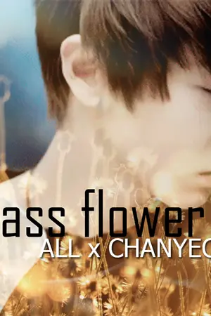 ปกนิยาย ดอกหญ้า ALL x CHANYEOL